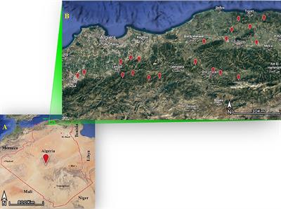 Seasonal Dynamics and Predilection Sites of Ticks (Acari: Ixodidae) Feeding on Cows in the Western Parts of the Djurdjura, Algeria